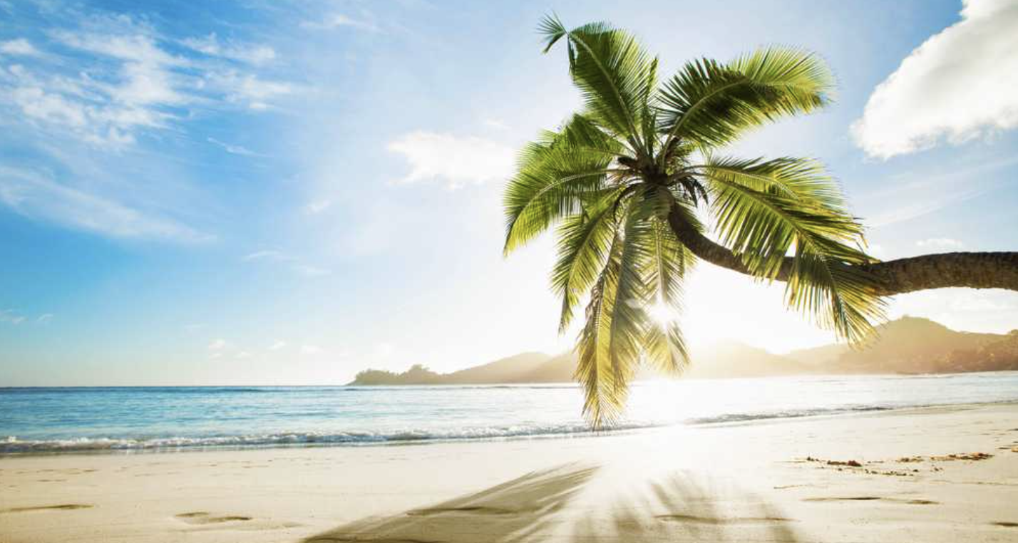 Caribbean Cruise & Orlando Escape