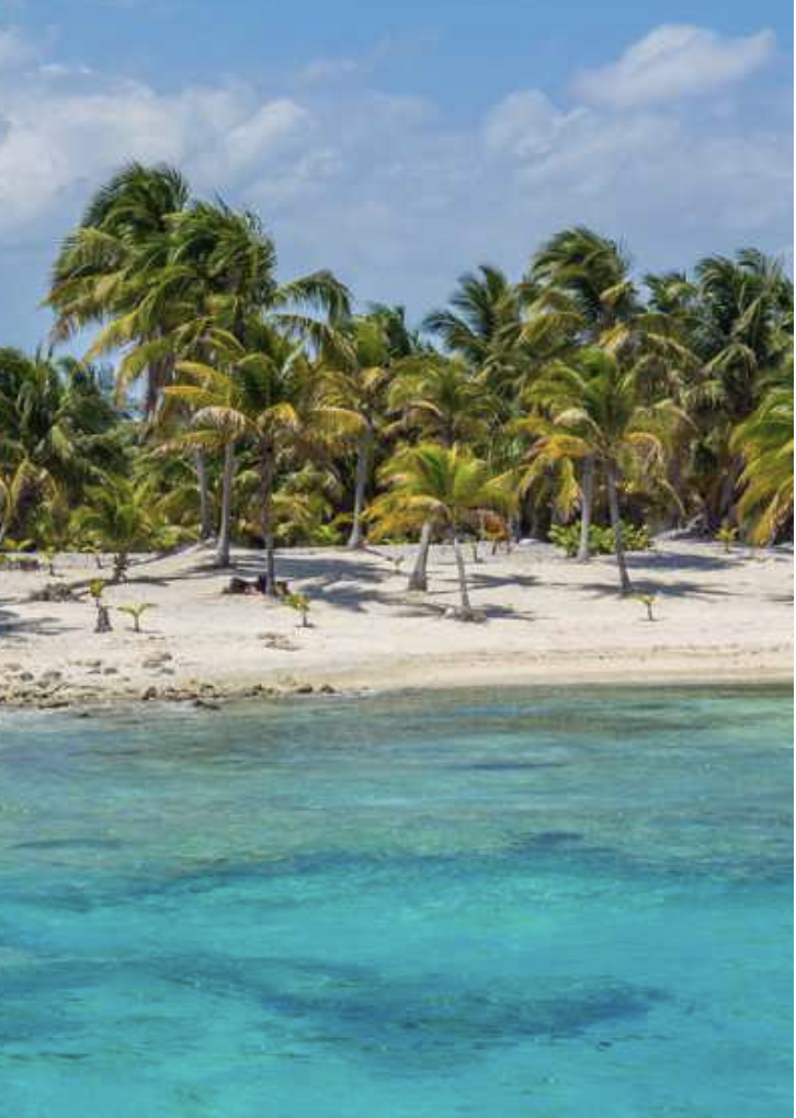 Caribbean Cruise & Orlando Escape